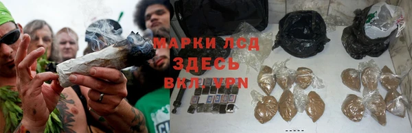 индика Медногорск