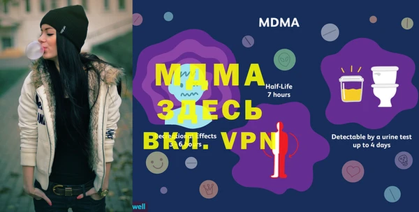 индика Медногорск