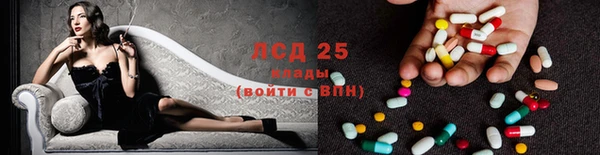 стафф Михайловск