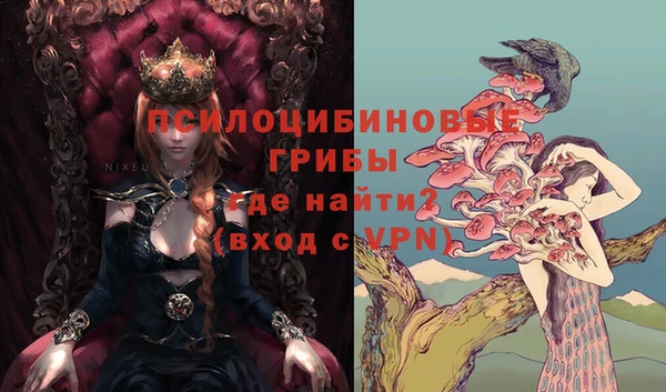 прущие крисы Медвежьегорск