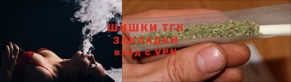индика Медногорск