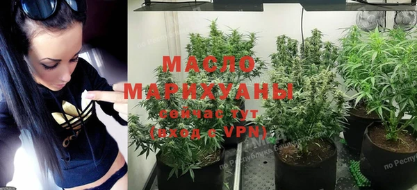индика Медногорск