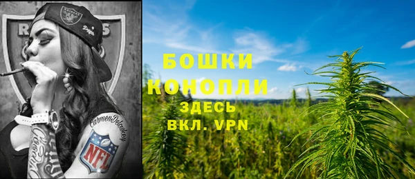 прущие крисы Медвежьегорск
