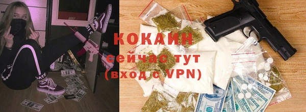 стафф Михайловск