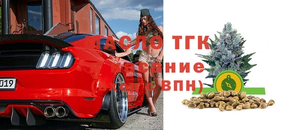 индика Медногорск