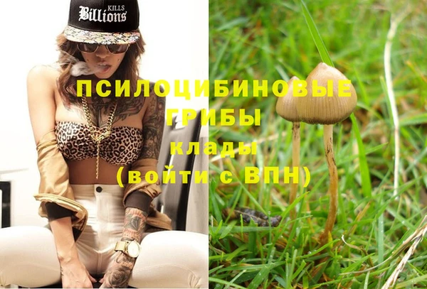 индика Медногорск