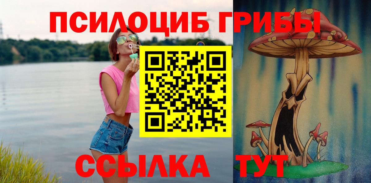 купить наркотик  Галлюциногенные грибы GOLDEN TEACHER  Галлюциногенные грибы ЛСД  Вход с VPN  Нижнеудинск 