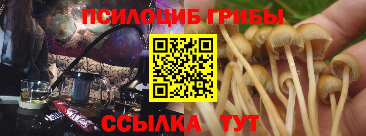 Нижнеудинск  Псилоцибиновые грибы Magic Shrooms  Вход с VPN 