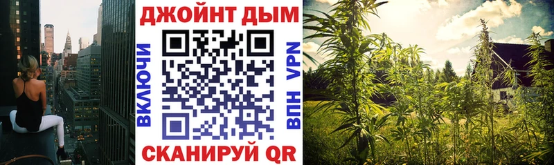 Каннабис гибрид  omg онион  Нижнеудинск 